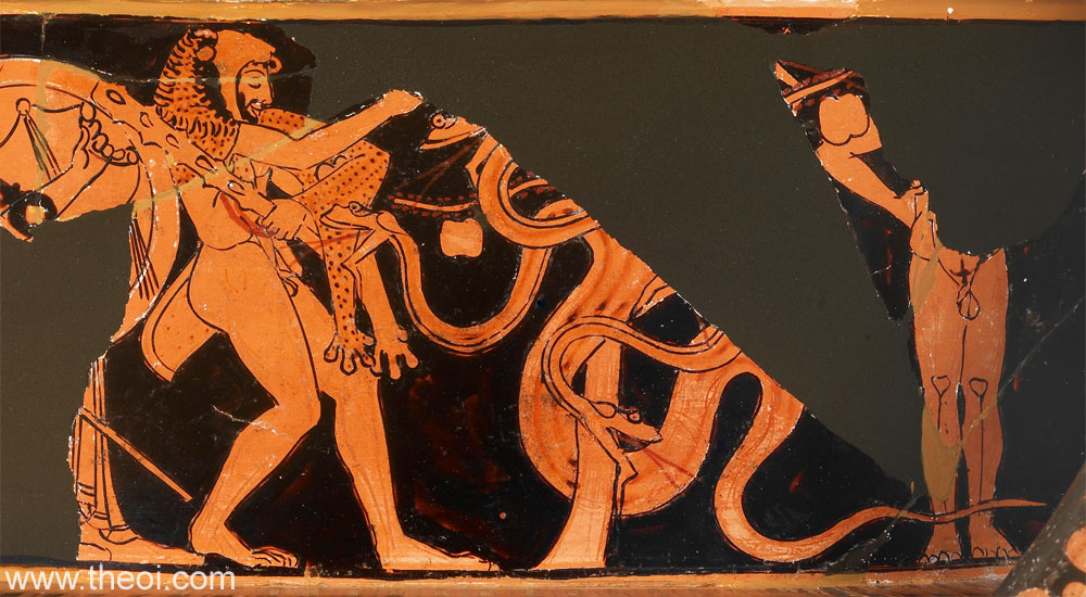 Heracles & Hesperian Dragon | Attic red figure vase painting